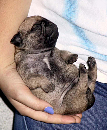 Sleep is Wonderful!