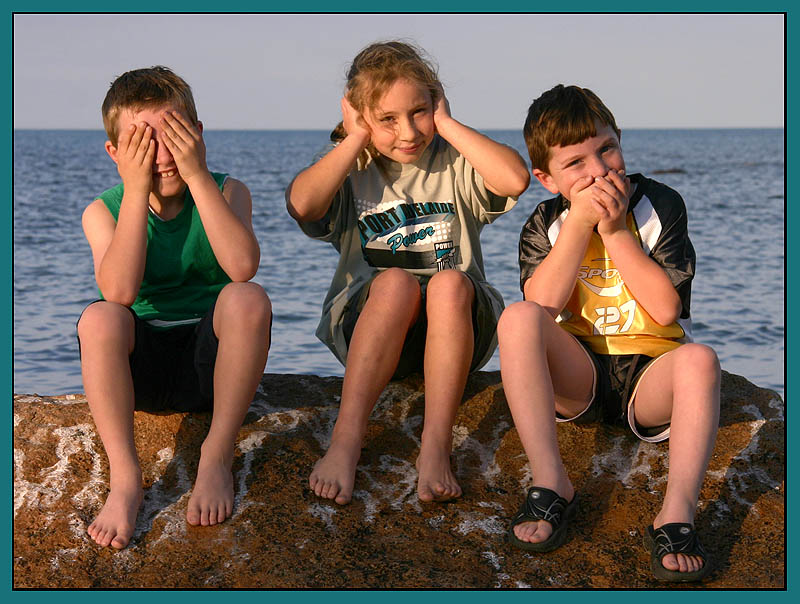 Three Monkeys  *