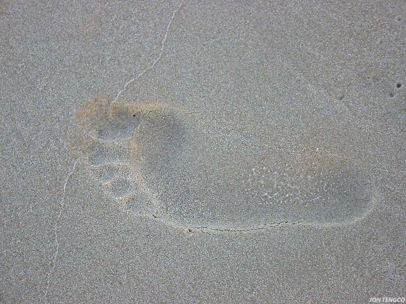 Footprint (*)