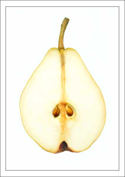 Minimalist pear
