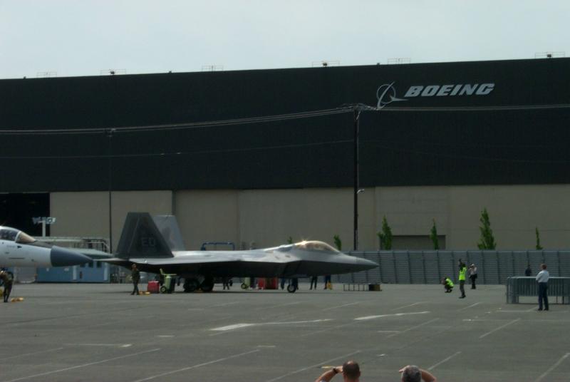 Raptor on display