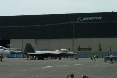 Raptor on display