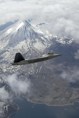 Raptor over Mt. St. Helen