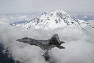 Raptor over Mt. Rainer