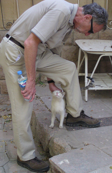 Cats 1.  Dick petting a cat (obviously)