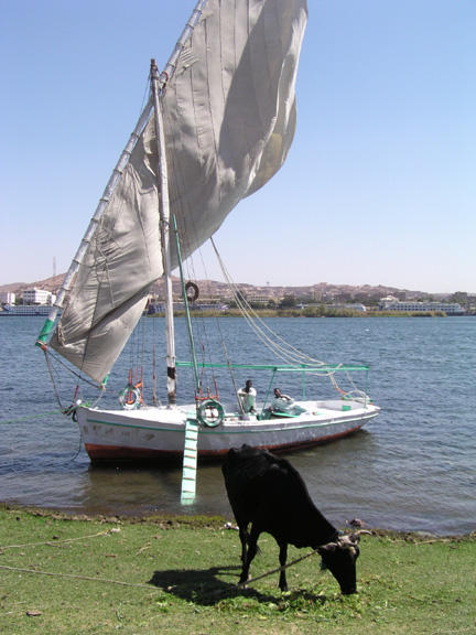 Nubian.felucca.
