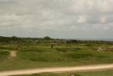 La Pointe du Hoc