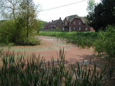 looking towards new houses on site the site of palmers yard