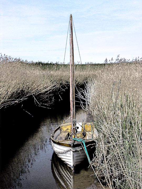 At  Rest ,Cley Marshes