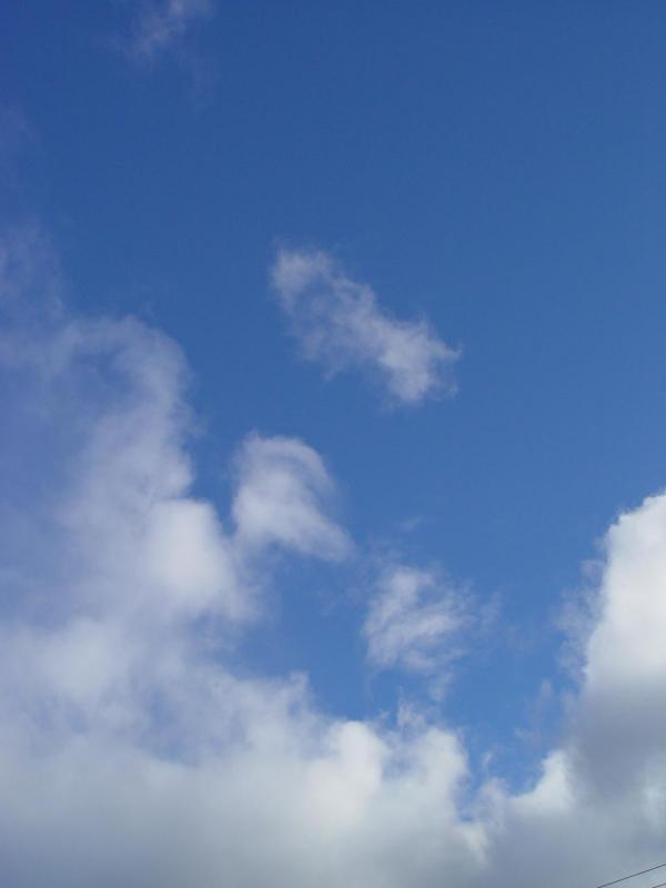 DSC01946.jpg