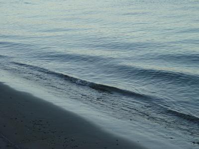 DSC02613.jpg