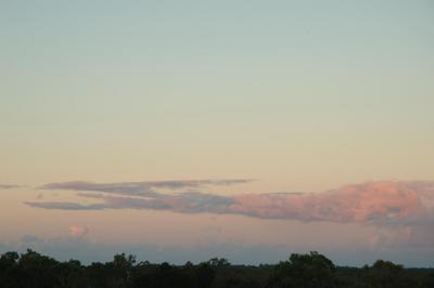 DSC_2237.jpg