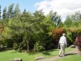 DSC02654.jpg