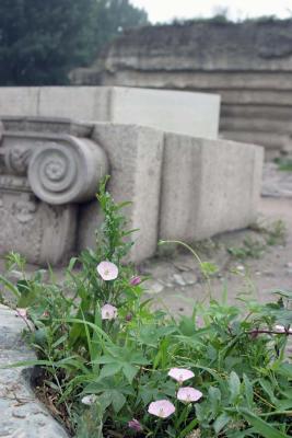 YuanMingYuan