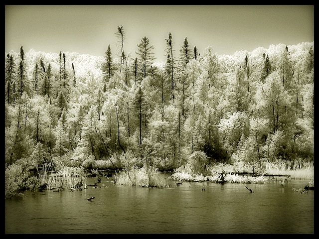 Michigan UpNorth.jpg