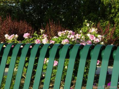 Bench.jpg