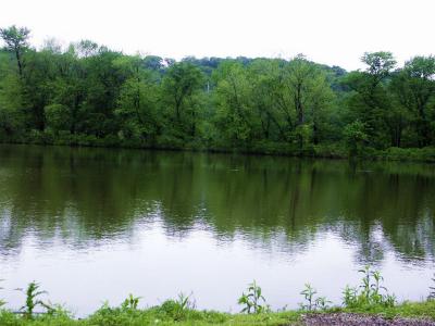 Illinois River Baclwaters.jpg