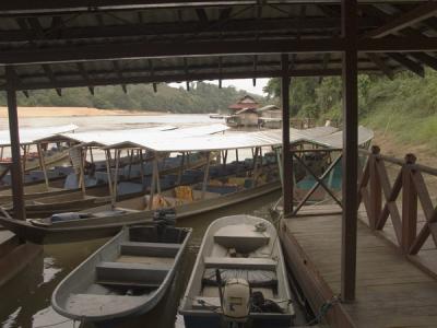 Riverboats to Taman Negara