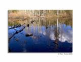 Pond-2