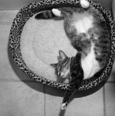 Total Relaxation