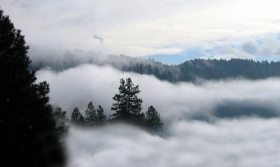 Blue sky, fog and cloud