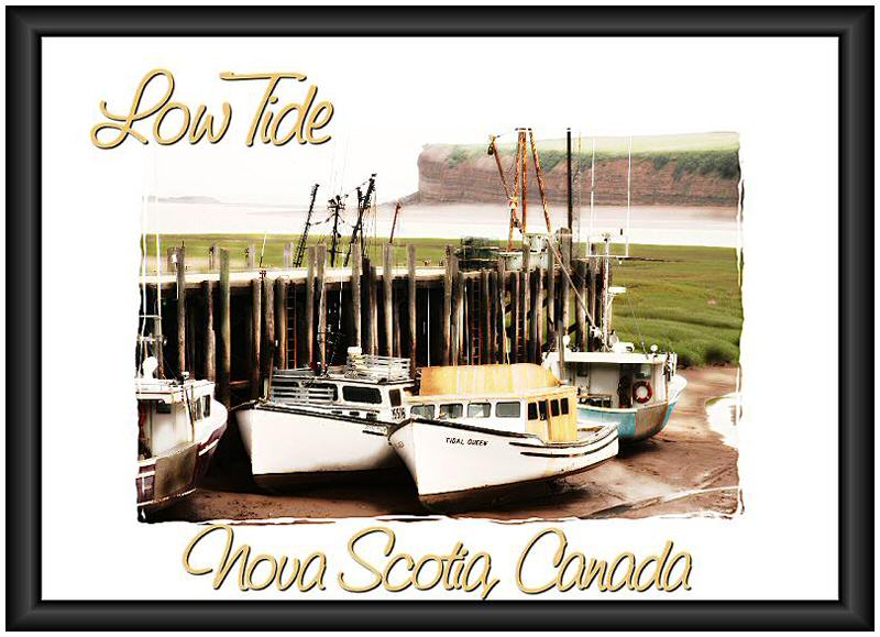 Low Tide