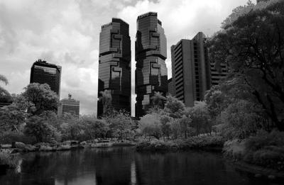 DSC_3111.jpg
