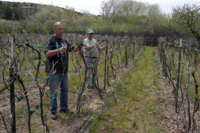 Wine Growers Assoc. of New Mexico Spring 04