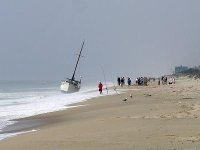 P5220222ac.jpg