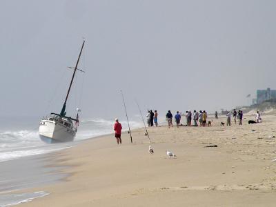 P5220223c.jpg