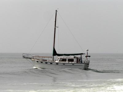 P5220243a.jpg