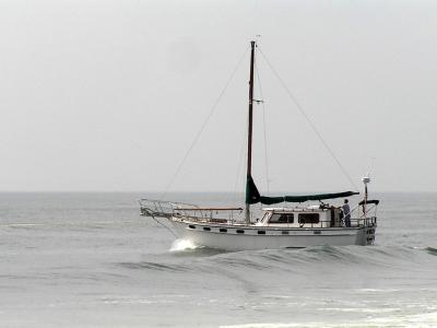 P5220244a.jpg