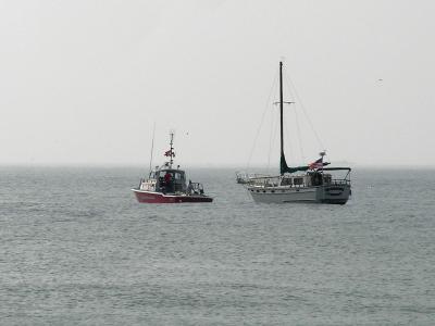 P5220253a.jpg