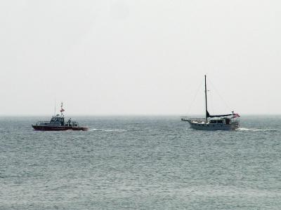 P5220274a.jpg