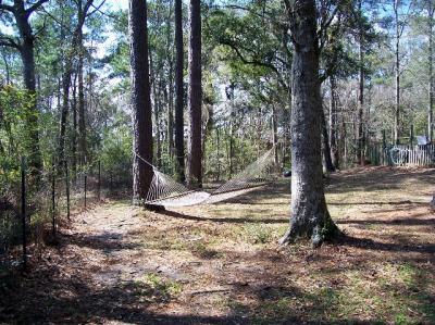 Where I spent the afternoon.jpg
