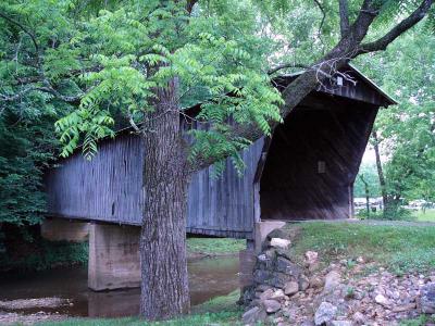 P1010718.jpg