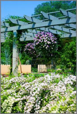 longwood_early_summer