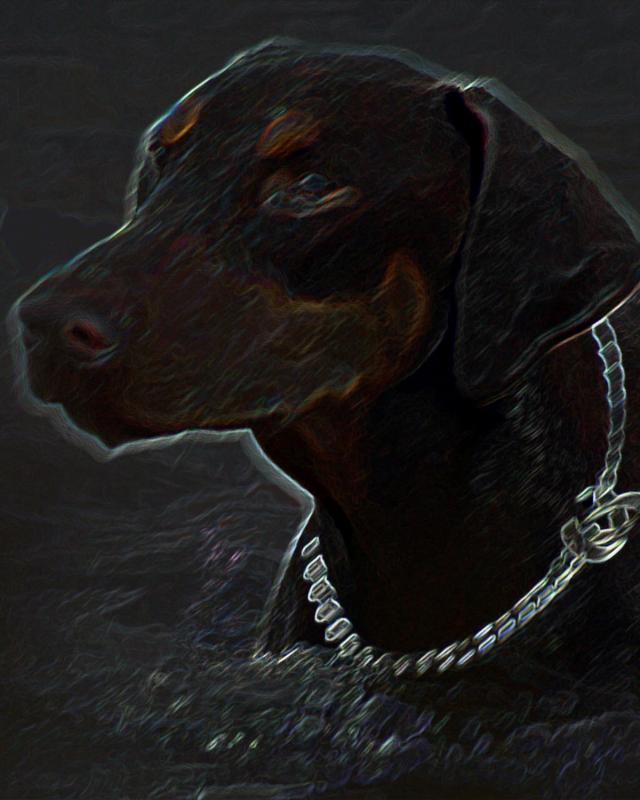 9/12/04 - Stella