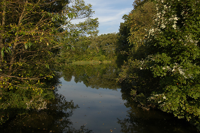 DSC_2106.JPG