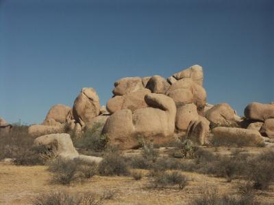 Climber's Paradise