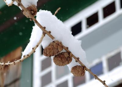 winter_2005