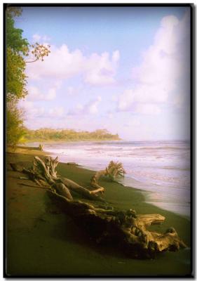 Playa en Corcovado