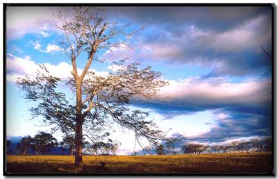 Atardecer camino de Monteverde