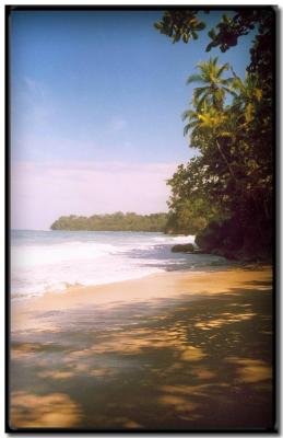 Playa en Gandoca-Manzanillo