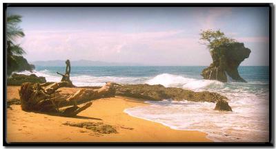 Playa en Gandoca-Manzanillo