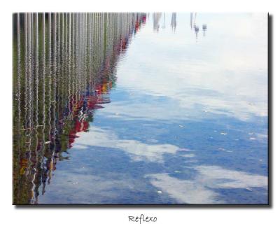 Flag and reflections