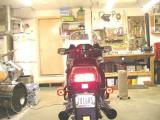 LED Lights