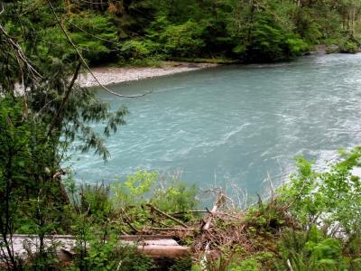 Hoh River