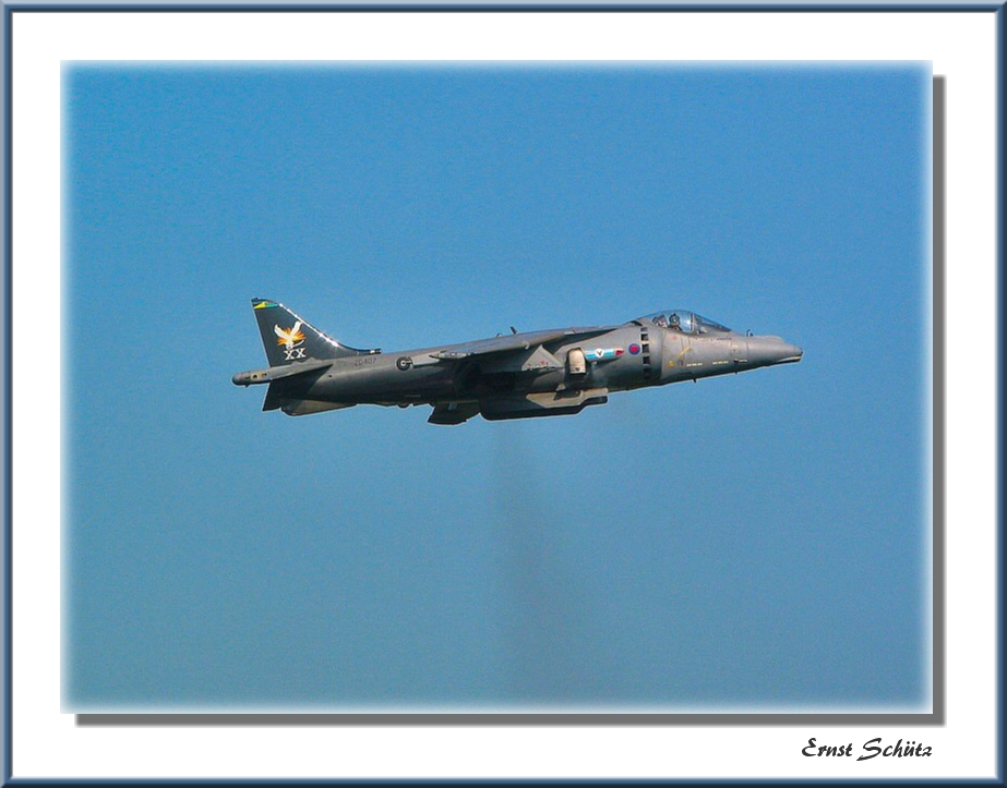 Harrier at Standstill