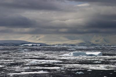 CRW_8291.jpg